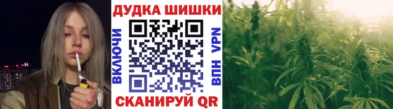 Бошки марихуана планчик  Купить где  Муравленко 